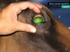 ulcera-corneal-superficial